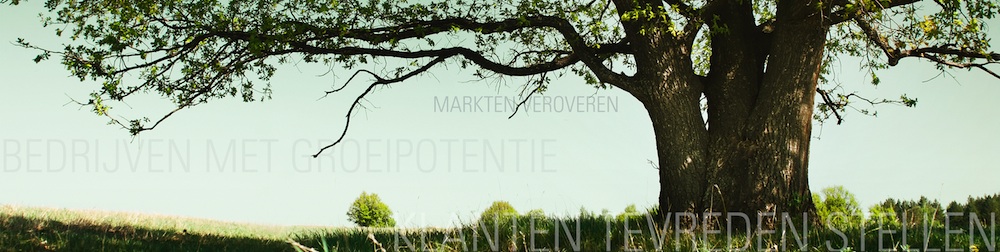 Ga naar de homepage van Dockpoint